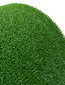 E-floor durvju paklājs Astroturf, 91x100 cm цена и информация | Kājslauķi | 220.lv