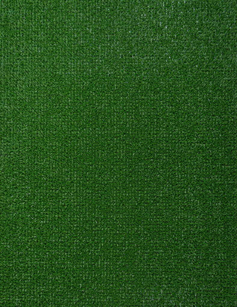 E-floor durvju paklājs Astroturf, 91x100 cm цена и информация | Kājslauķi | 220.lv