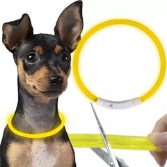 LED kaklasiksna suņiem Purlov, 70x1,2 cm, dzeltena цена и информация | Ошейники, подтяжки для собак | 220.lv