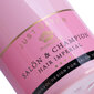 Matu smidzinātajs šampanieša rozā, 350 ml cena un informācija | Mēbeles skaistumkopšanas saloniem | 220.lv