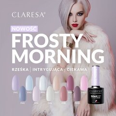 Hibrīda nagu laka Claresa, Frosty Morning 6, 5 g цена и информация | Лаки для ногтей, укрепители | 220.lv