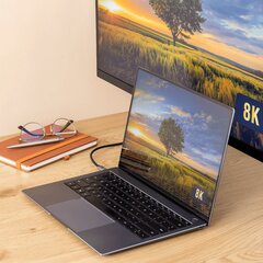 Reagle USB-C/DisplayPort, 1.8 m цена и информация | Кабели и провода | 220.lv