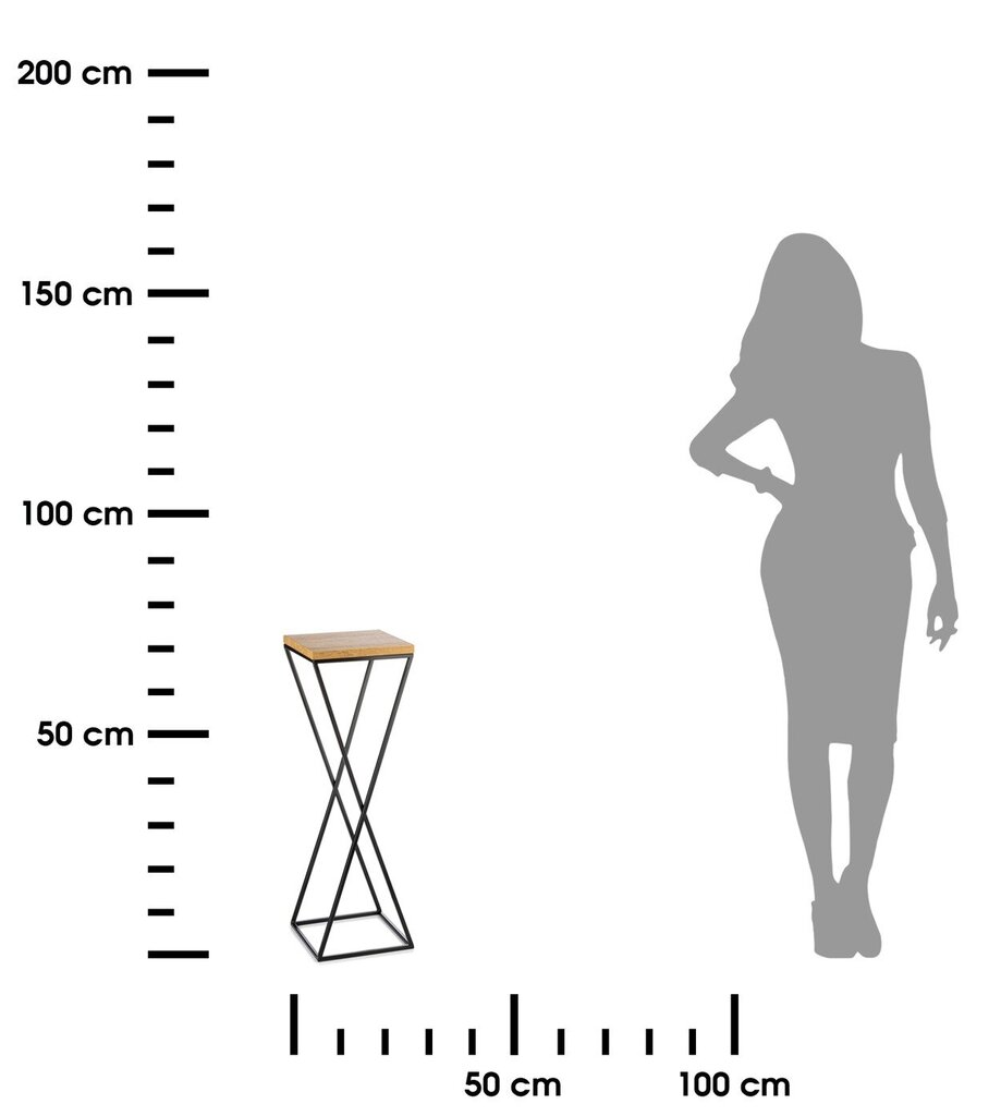 Puķu statīvs, 70 cm cena un informācija | Ziedu statīvi, puķu podu turētāji | 220.lv