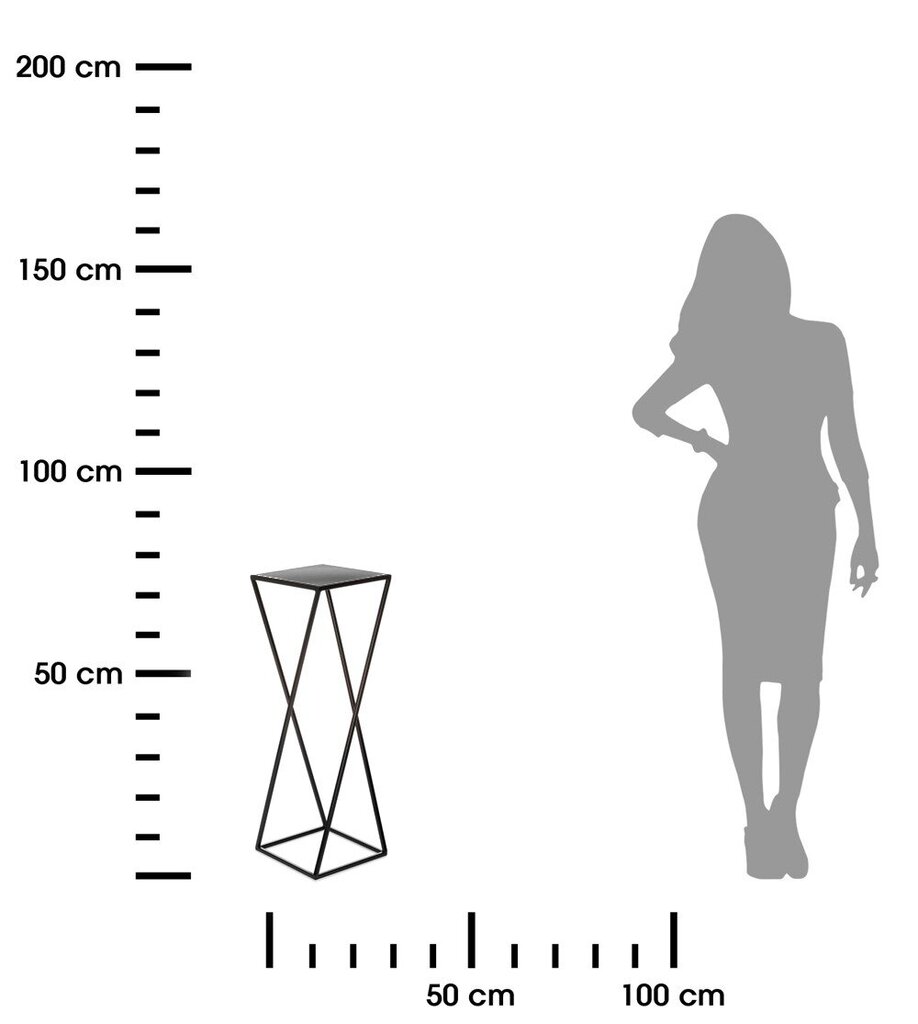 Puķu statīvs, melns, 70 cm цена и информация | Ziedu statīvi, puķu podu turētāji | 220.lv