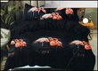 Rossetti gultas veļas komplekts, 160x200 cm, 3 daļas cena un informācija | Gultas veļas komplekti | 220.lv