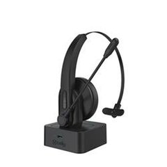 Celly SWHEADSETMONOBK Black цена и информация | Наушники с микрофоном Asus H1 Wireless Чёрный | 220.lv