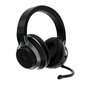 Turtle Beach Stealth Pro Black цена и информация | Austiņas | 220.lv