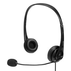 Lindy 20432 Black цена и информация | Наушники с микрофоном Asus H1 Wireless Чёрный | 220.lv