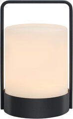 Светодиодная уличная лампа uuffoo с аккумулятором цена и информация | Уличное освещение | 220.lv