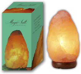 Pakistānas sāls lampa Magic Salt Lighting Jūsu dvēse цена и информация | Настольные лампы | 220.lv