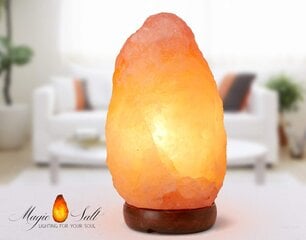 Пакистанская соляная лампа Magic Salt Lighting For Your Soul цена и информация | Настольные лампы | 220.lv