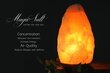 Pakistānas sāls lampa Magic Salt Lighting Jūsu dvēse cena un informācija | Galda lampas | 220.lv