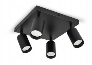 Подвесной потолочный светильник Luxolar цена и информация | Потолочный светильник | 220.lv