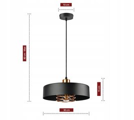 Подвесной потолочный светильник Luxolar цена и информация | Настенный/подвесной светильник Eye Spot 11 BL, чёрный | 220.lv