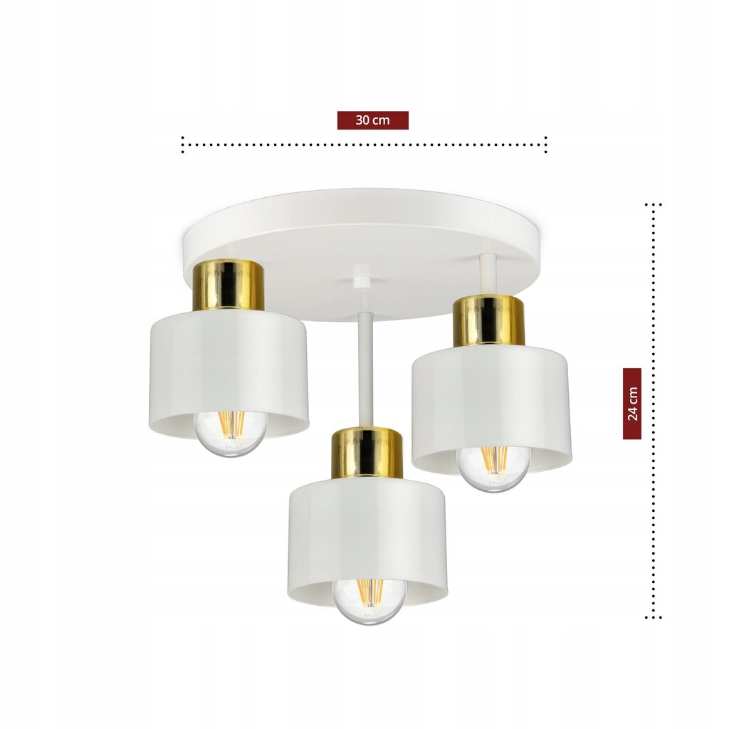 Luxolar griestu lampa цена и информация | Griestu lampas | 220.lv