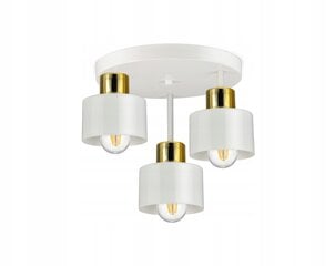 Luxolar griestu lampa цена и информация | Потолочные светильники | 220.lv
