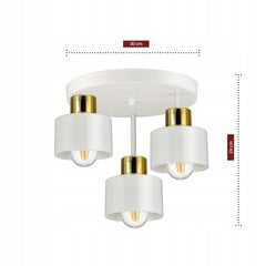 Luxolar griestu lampa цена и информация | Потолочные светильники | 220.lv