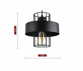 Подвесной светильник Luxolar, белый цена и информация | Люстры | 220.lv