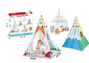 Bērnu telts ar karuseli un bumbiņām cena un informācija | Bērnu rotaļu laukumi, mājiņas | 220.lv