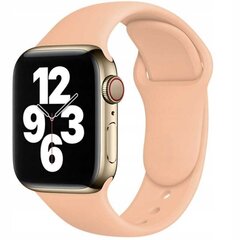 Spacecase Apple Watch 42/44/45 цена и информация | Аксессуары для смарт-часов и браслетов | 220.lv