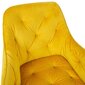 Krēsls Brita dzeltens, 2 gab. цена и информация | Virtuves un ēdamistabas krēsli | 220.lv