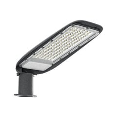 Lampa, 50W cena un informācija | Āra apgaismojums | 220.lv