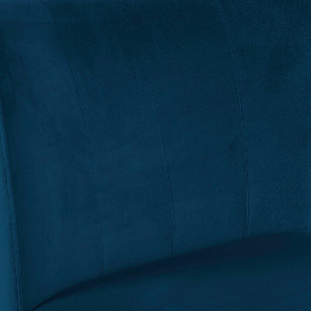 Ēdamistabas krēsls Turin, zils, 2 gab. cena un informācija | Virtuves un ēdamistabas krēsli | 220.lv