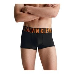 Calvin Klein biksītes vīriešiem 84787, 2 gab. cena un informācija | Vīriešu apakšbikses | 220.lv