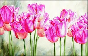 Набор для вышивки крестом Diamond Dotz Pink Tulips, 67х42 см цена и информация | Принадлежности для вышивания | 220.lv