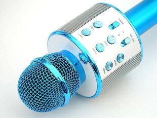 Mikrofons ar skaļruni, 1 gab. cena un informācija | Attīstošās rotaļlietas | 220.lv