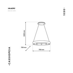 подвесной светильник cassiopeia цена и информация | Люстры | 220.lv