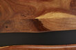 TV galds-skapis Invicta Amazonas, 160 cm, koka, metāla цена и информация | TV galdiņi | 220.lv