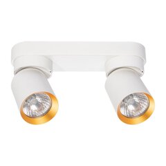 Eko-Light griestu gaismeklis цена и информация | Потолочные светильники | 220.lv