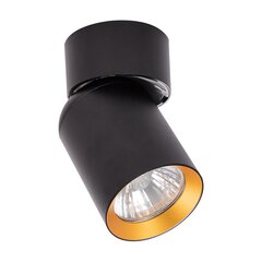Eko-Light griestu gaismeklis cena un informācija | Griestu lampas | 220.lv