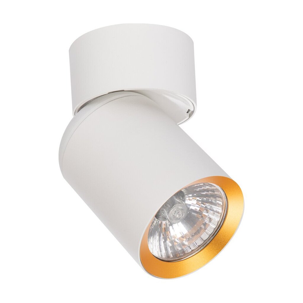 Eko-Light griestu gaismeklis cena un informācija | Griestu lampas | 220.lv
