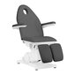 Elektriskais krēsls Sillon Basic Pedi, pelēks cena un informācija | Mēbeles skaistumkopšanas saloniem | 220.lv