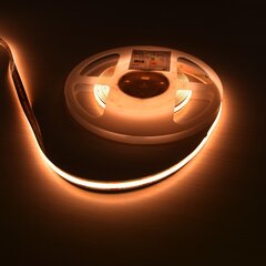 LED loksne Eko-Light Kolb, 5m цена и информация | Светодиодные ленты | 220.lv