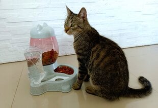 Automātiskais ūdens un barības devējs kaķiem un suņiem cena un informācija | Bļodas, kastes pārtikas | 220.lv