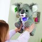 Interaktīva plīša rotaļlieta Hasbro FurReal Friends Interactive Koala Kristy cena un informācija | Mīkstās (plīša) rotaļlietas | 220.lv