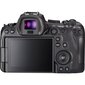 Canon EOS R6 + RF 600mm f/11 IS STM cena un informācija | Digitālās fotokameras | 220.lv