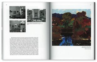 Rūdolfs Pinnis Latvijas mākslas klasika cena un informācija | Mākslas grāmatas | 220.lv