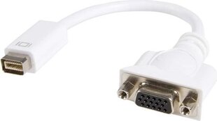 StarTech Mini DVI/VGA, 0.2 m цена и информация | Кабели и провода | 220.lv