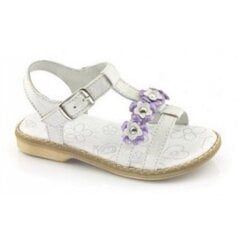 Froddo sandales meitenēm, pelēkas цена и информация | Детские сандалии | 220.lv
