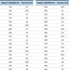 Skrituļslidas Rollerblade, 38. izmērs, melnas cena un informācija | Skrituļslidas | 220.lv