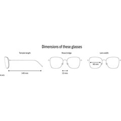 Мужские солнцезащитные очки Rodenstock R1425 S7266296. цена и информация | Солнцезащитные очки для мужчин | 220.lv