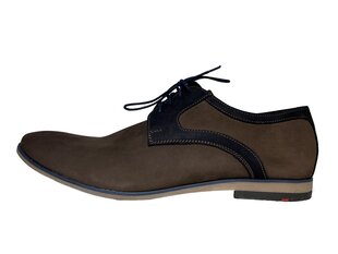 Мужские классические туфли из натуральной кожи цена и информация | Мужские ботинки | 220.lv