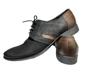 Мужские классические туфли из натуральной кожи цена и информация | Мужские ботинки | 220.lv
