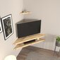 TV statīvs, Asir, 120x5x49 cm, brūns cena un informācija | TV galdiņi | 220.lv