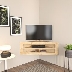 TV statīvs Asir, 120x40x45 cm, brūns cena un informācija | TV galdiņi | 220.lv
