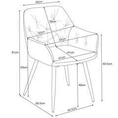 2 krēslu komplekts Akord SJ.030, pelēks цена и информация | Стулья для кухни и столовой | 220.lv